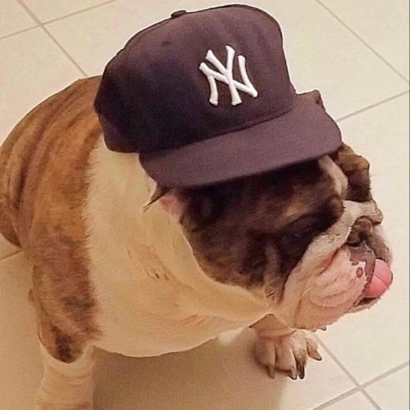 Meet your Posher, Cory - Picture 1 of 1